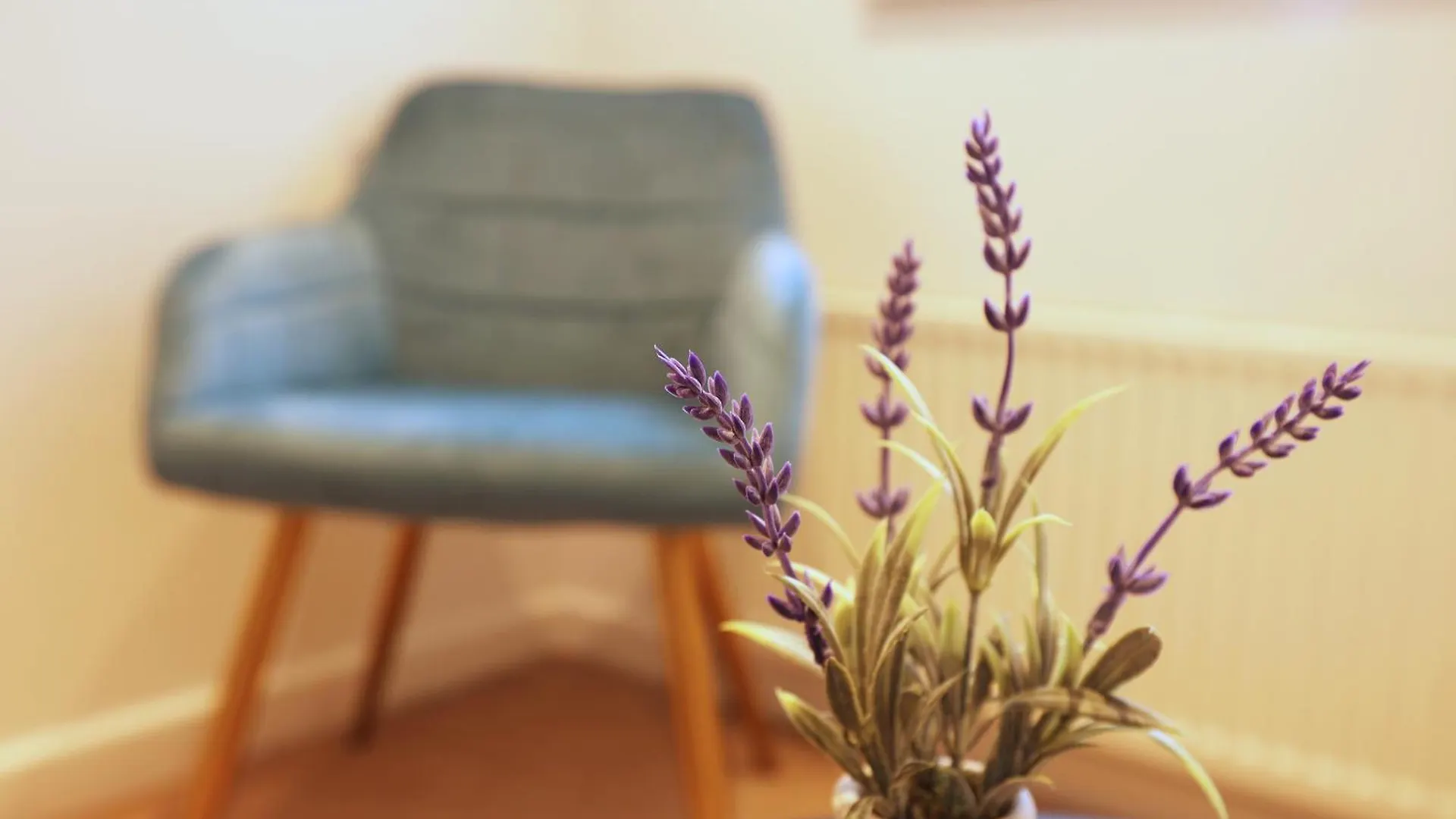 Hollybush House, Huge Disc For Monthly Stays, Great Location, Free Parking Cardiff